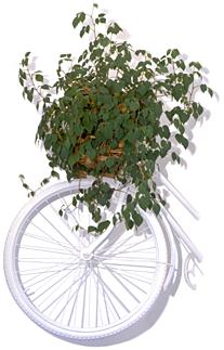 ivy bicycle - white frame on a white wall