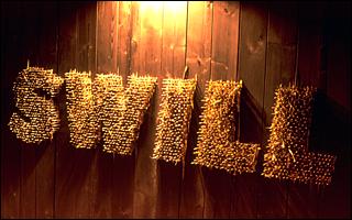 3d illustration: Swill - for the rock band Swineherd